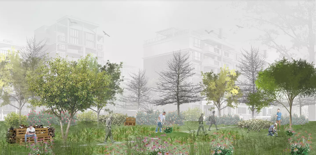 У Львові облаштують терапевтичний сад для ветеранів. Ось яким він буде